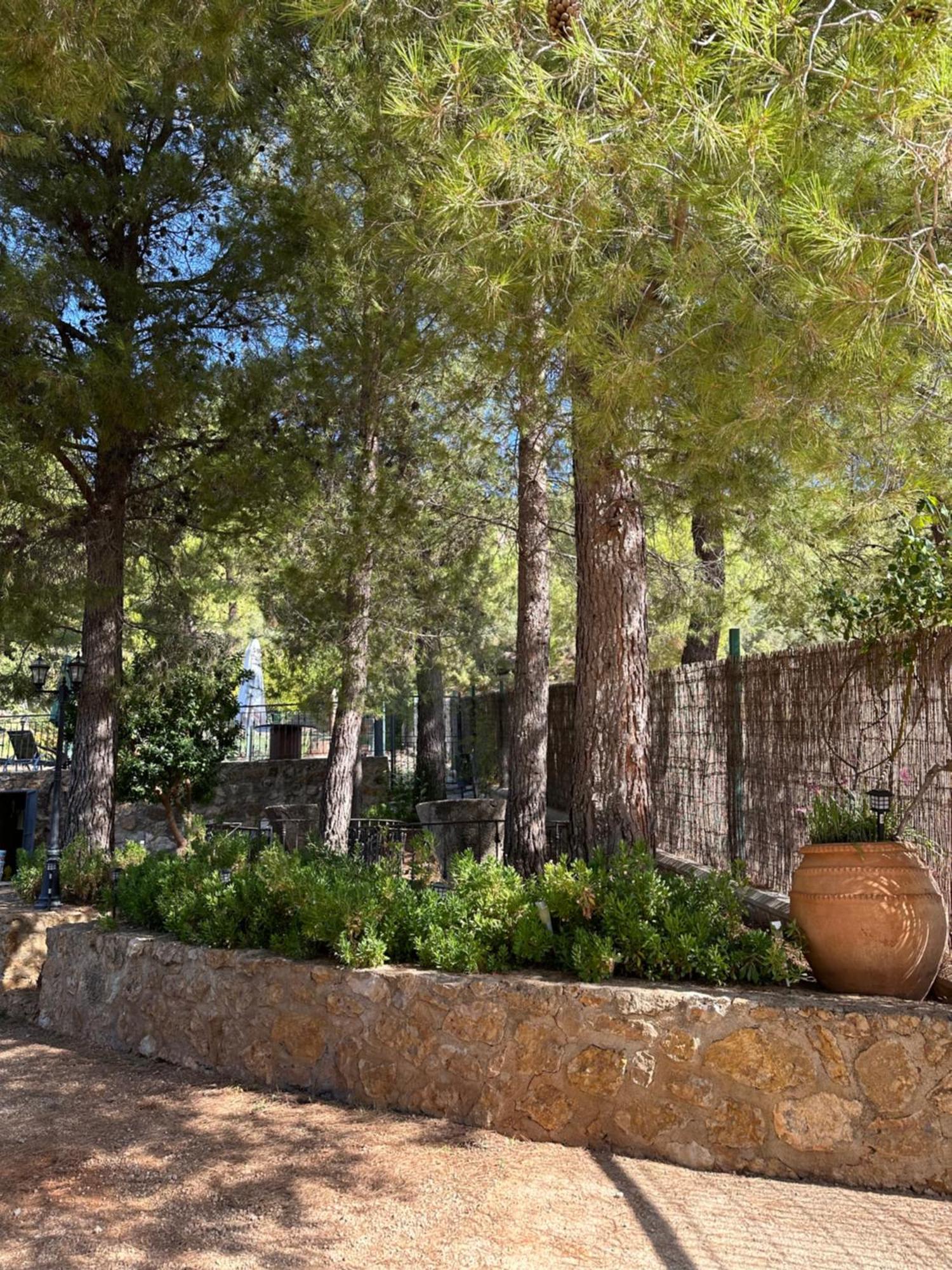 Casas Rurales Cerro Lobo Yeste Kültér fotó