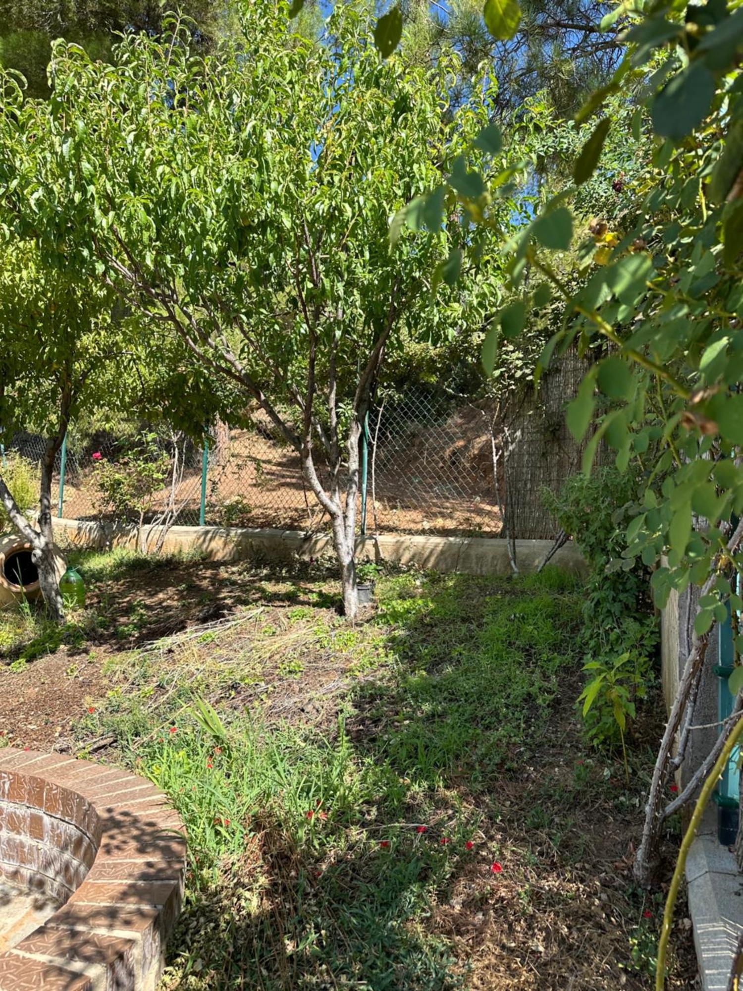 Casas Rurales Cerro Lobo Yeste Kültér fotó