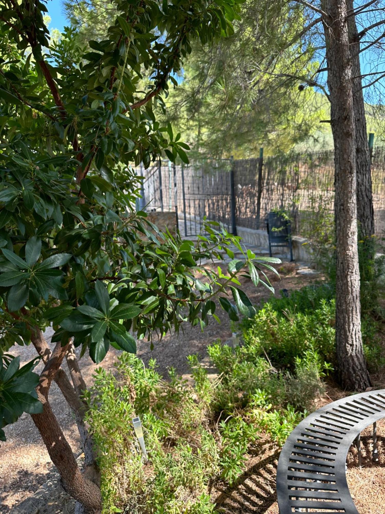 Casas Rurales Cerro Lobo Yeste Kültér fotó