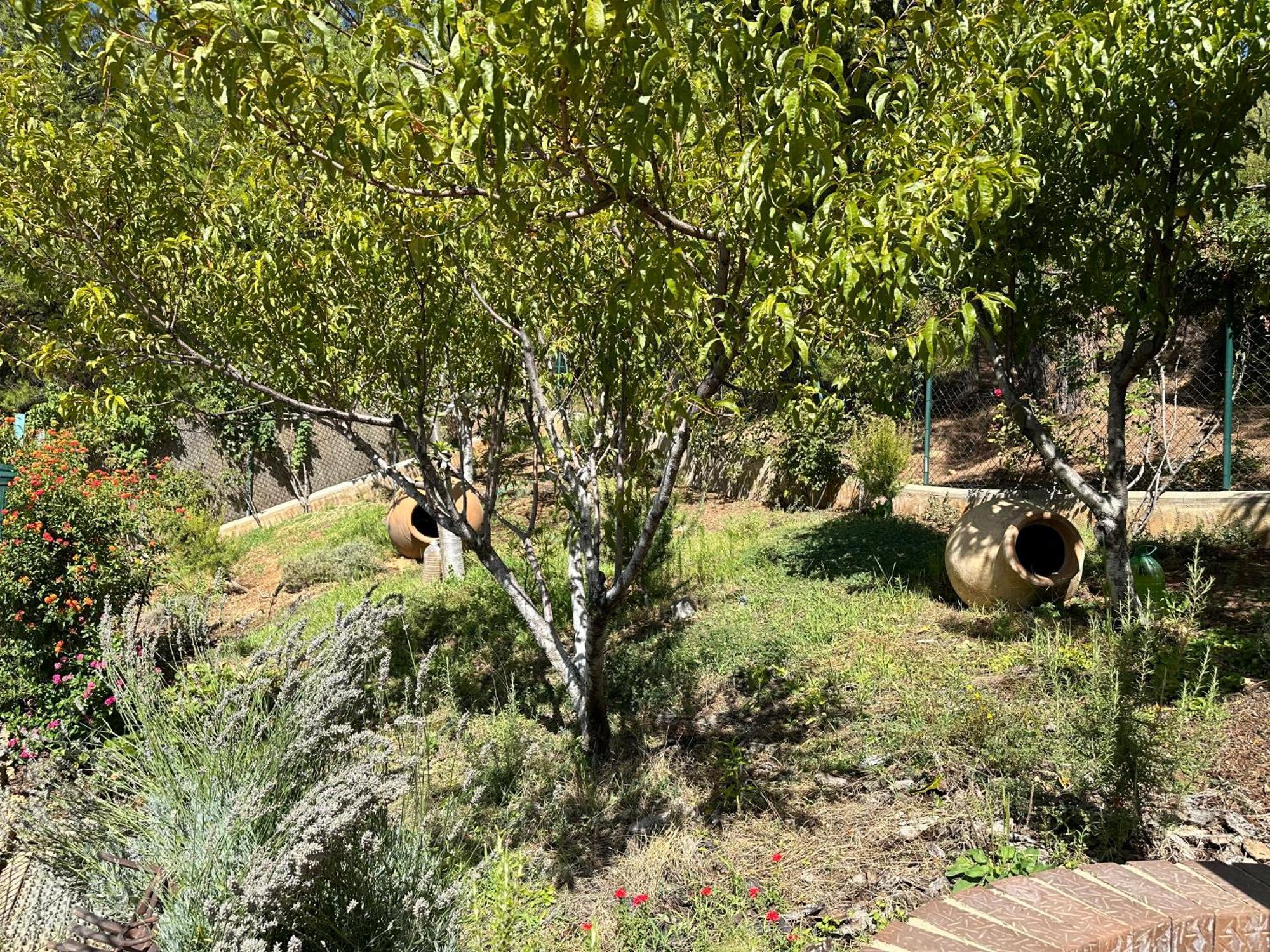 Casas Rurales Cerro Lobo Yeste Kültér fotó