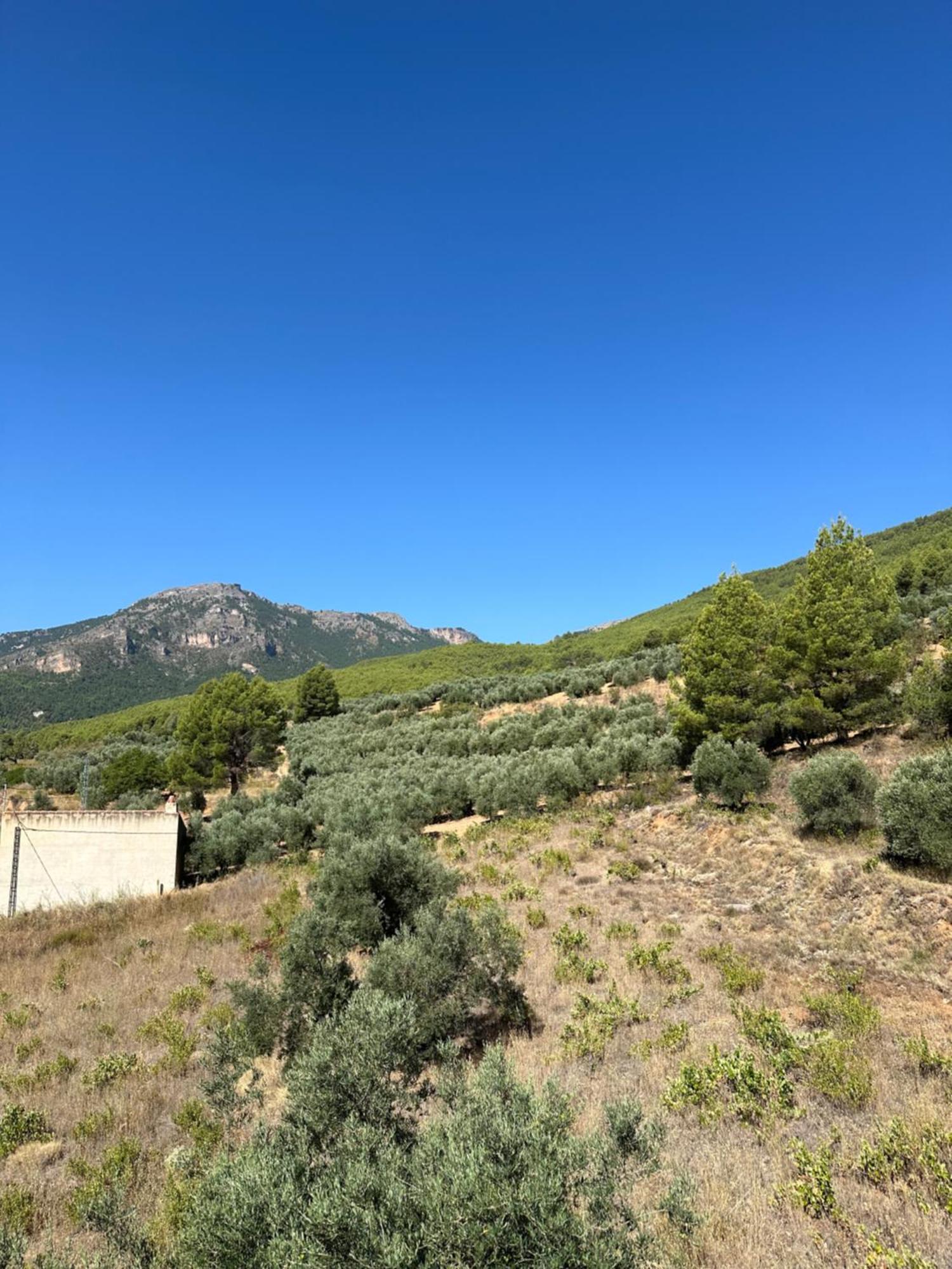 Casas Rurales Cerro Lobo Yeste Kültér fotó