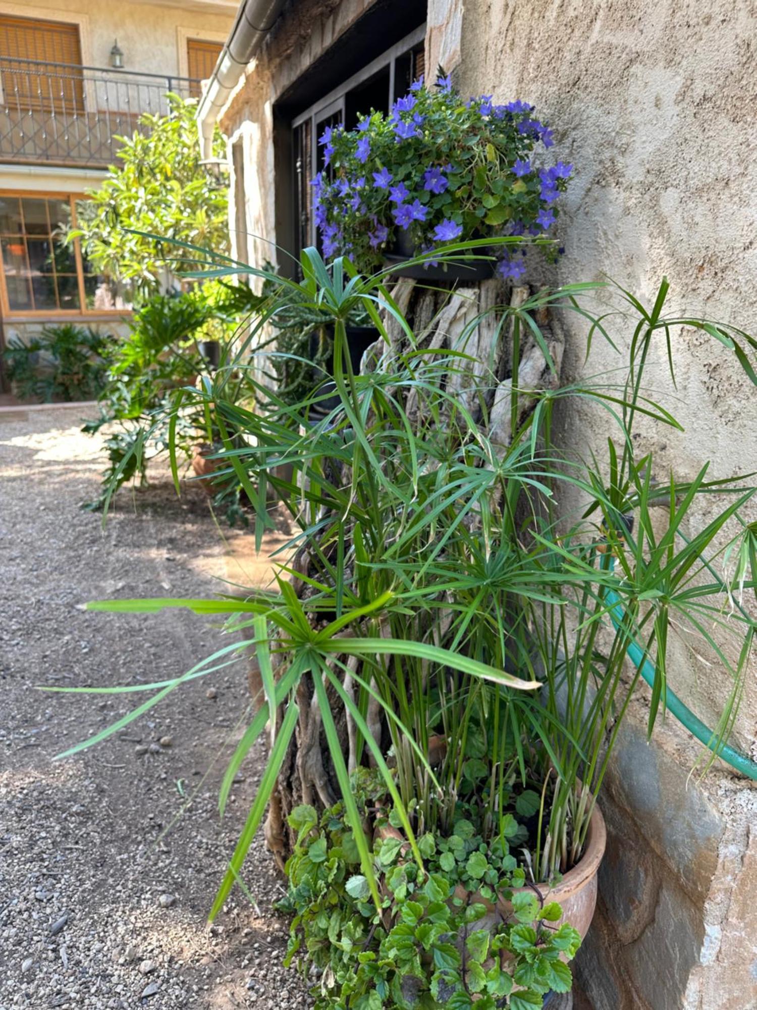Casas Rurales Cerro Lobo Yeste Kültér fotó